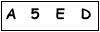 salt-3EB5ABC8