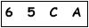 salt-EB5B4604