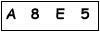 salt-53BF6138