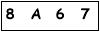 salt-2FE1060E