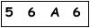 salt-E6B47063