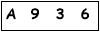salt-991A2124