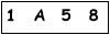 salt-891D1077