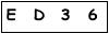 salt-9A9B6774