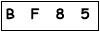 salt-24D5C1AF