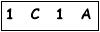 salt-894C9935