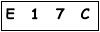 salt-61301D12