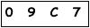 salt-1031800A